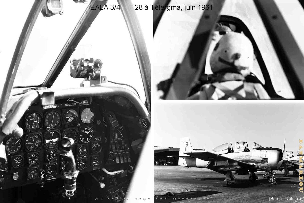 197- ARMEE DE L'AIR EN ALGERIE 1945-1962-45 (110).jpg